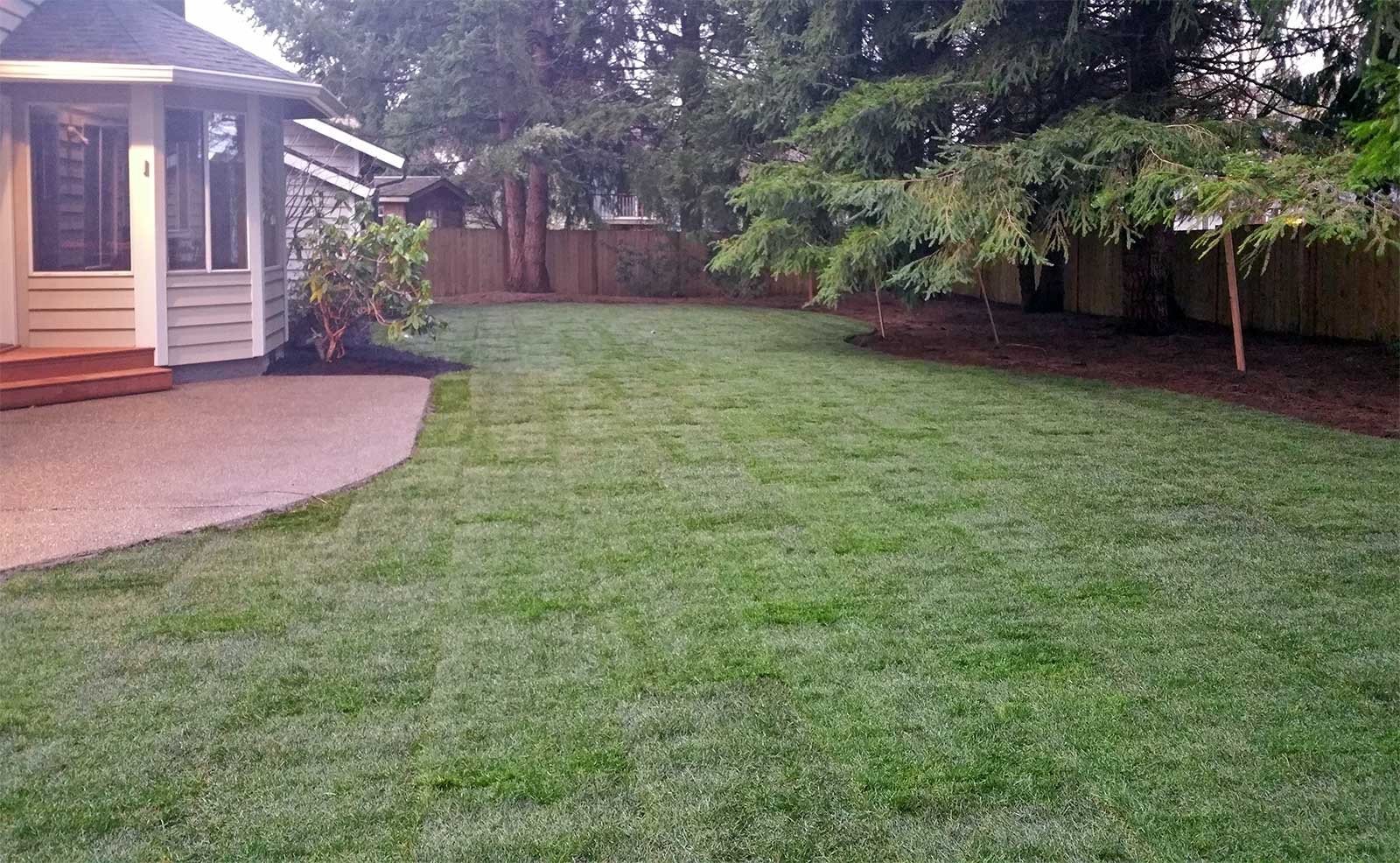 Lush backyard lawn framed by trees and a covered porch