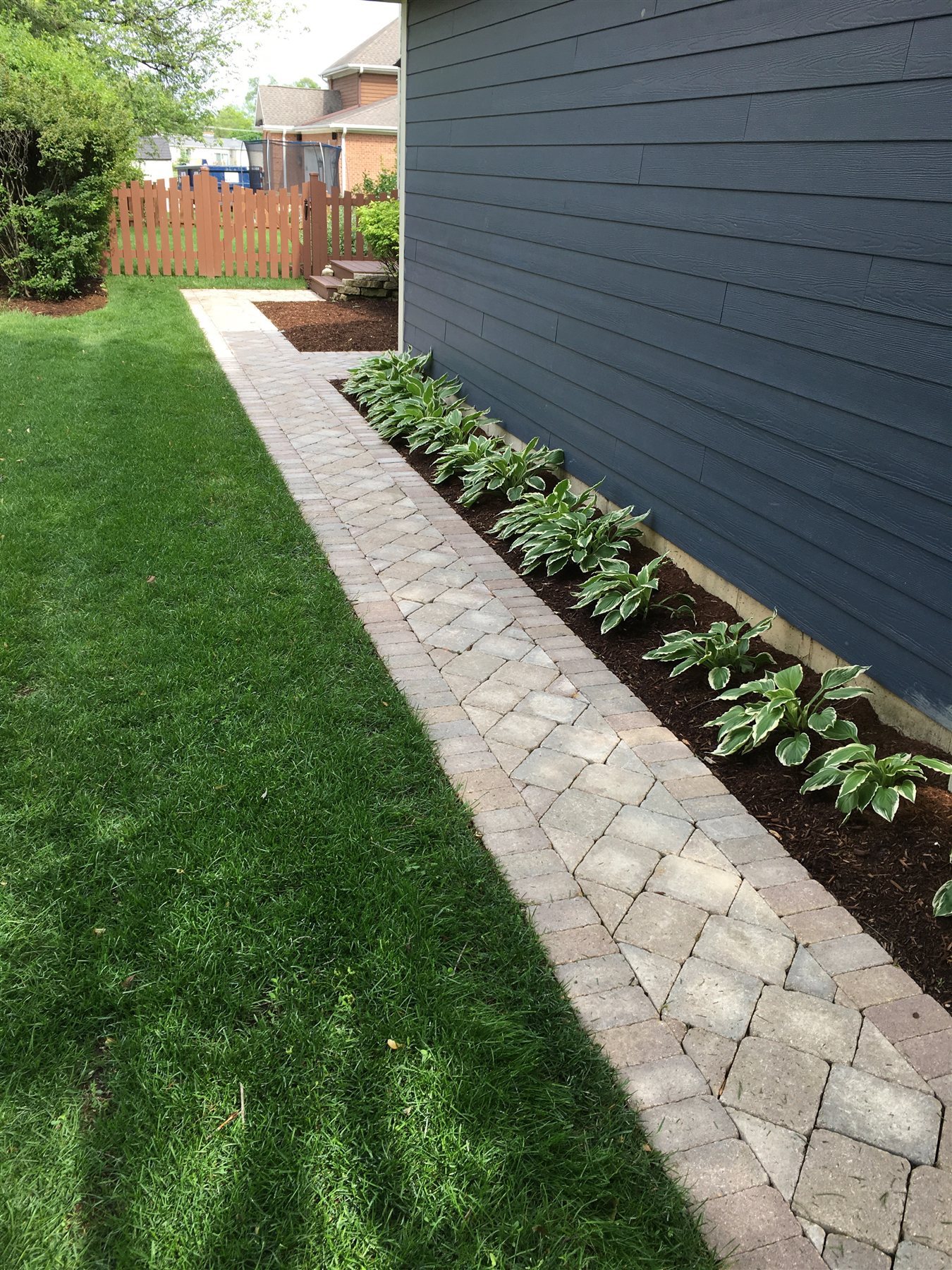Hostas and mulched bed beside a paver walkway and house