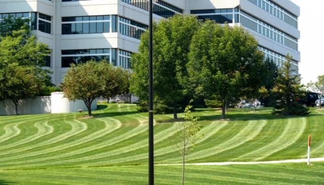 Maintained lawn and trees around a commercial building